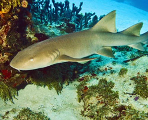 Contact Us Background